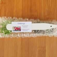 Load image into Gallery viewer, 6x Superhot Chilli Plug Plants From Chillikings!!! Early Batch!!! 2025!!! Ready Now!!!