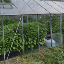 Load image into Gallery viewer, 1x Box 15x Fresh Large Carolina Reaper Chillies!!! World's Hottest!!!