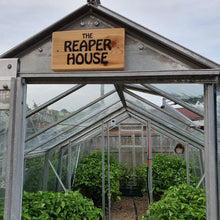 Load image into Gallery viewer, 1x Box 15x Fresh Large Carolina Reaper Chillies!!! World's Hottest!!!