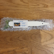 Load image into Gallery viewer, Superhot, Chilli Plug Plants!!! 2025!!! Pick Your Own!!! Ready Now!!!