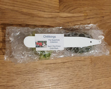 Load image into Gallery viewer, 6x Superhot Chilli Plug Plants From Chillikings!!! Batch 1!!! 2026!!! Ready Now!!!