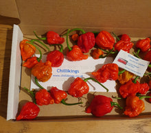 Load image into Gallery viewer, 50g Fresh, SMALL, Carolina Reaper Chillies!!! World's Hottest Chilli!!! Ready Now!!!