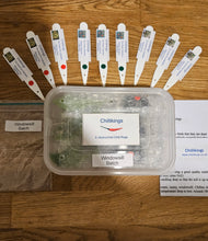 Load image into Gallery viewer, 9x Hot Chilli Plug Plants From Chillikings!!! Our Windowsill Batch!!! 2025!!! Ready Now!!!