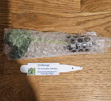 Load image into Gallery viewer, Superhot, Chilli Plug Plants!!! 2025!!! Pick Your Own!!! Ready Now!!!