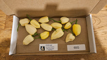 Load image into Gallery viewer, 60g Fresh, White Ghost Naga Superhot Chillies!!! Ready Now!!!