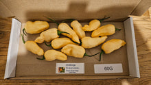 Load image into Gallery viewer, 60g Fresh, Peach Ghost Naga Superhot Chillies!!! Ready Now!!!