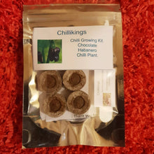 Load image into Gallery viewer, Chocolate Habanero Chilli, Chilli Grow Kit!!! 6, Seeds!!!