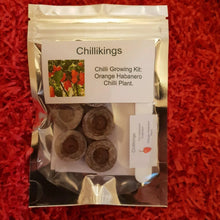 Load image into Gallery viewer, Orange Habanero Chilli, Chilli Grow Kit!!! 6, Seeds!!!
