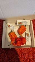 Load image into Gallery viewer, 3x Fresh, Large, Carolina Reaper Chillies!!! World's Hottest!!! Superhot Chilli Challenge!!!