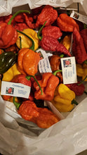 Load image into Gallery viewer, 500g, Fresh, Rare, Superhot Chillies!! World's Hottest Strains!!!