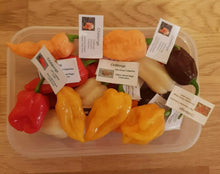 Load image into Gallery viewer, 1x Box 15x Fresh, Large, Mixed Chillies!!! World's Hottest Strains!!!