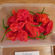 Load image into Gallery viewer, 1x Box 15x Fresh Large Carolina Reaper Chillies!!! World's Hottest!!!