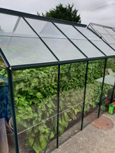 Load image into Gallery viewer, 1x Box 15x Fresh, Large, Mixed Chillies!!! World's Hottest Strains!!!