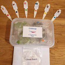 Load image into Gallery viewer, 6x Superhot Chilli Plug Plants From Chillikings!!! Ghost Batch!!! 2025!!! Ready Now!!!