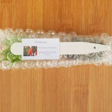 Load image into Gallery viewer, 6x Superhot Chilli Plug Plants From Chillikings!!! Ghost Batch!!! 2025!!! Ready Now!!!