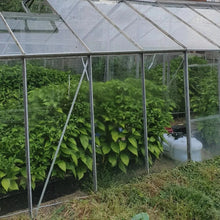 Load image into Gallery viewer, 1x Box 15x Fresh, Large, Mixed Chillies!!! World's Hottest Strains!!!