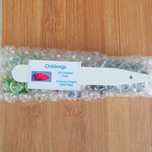 Load image into Gallery viewer, 6x Superhot Chilli Plug Plants From Chillikings!!! Early Batch!!! 2025!!! Ready Now!!!