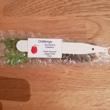 Load image into Gallery viewer, Superhot, Chilli Plug Plants!!! 2025!!! Pick Your Own!!! Ready Now!!!