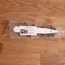 Load image into Gallery viewer, Superhot, Chilli Plug Plants!!! 2025!!! Pick Your Own!!! Ready Now!!!