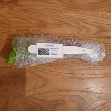 Load image into Gallery viewer, Superhot, Chilli Plug Plants!!! 2025!!! Pick Your Own!!! Ready Now!!!