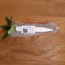 Load image into Gallery viewer, Superhot, Chilli Plug Plants!!! 2025!!! Pick Your Own!!! Ready Now!!!