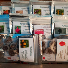 Load image into Gallery viewer, Any 10x of our Superhot Chilli Seed Grow Kit's! Mix And Match!!