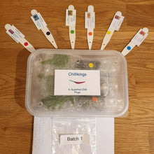 Load image into Gallery viewer, 6x Superhot Chilli Plug Plants From Chillikings!!! Batch 1!!! 2025!!! Ready Now!!!