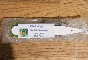 Superhot, Chilli Plug Plants!!! 2025!!! Pick Your Own!!! Ready Now!!!