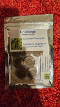 Load image into Gallery viewer, Cucumber Early Spring Burpless F1 Grow Kit!!! 10x Seeds!!!
