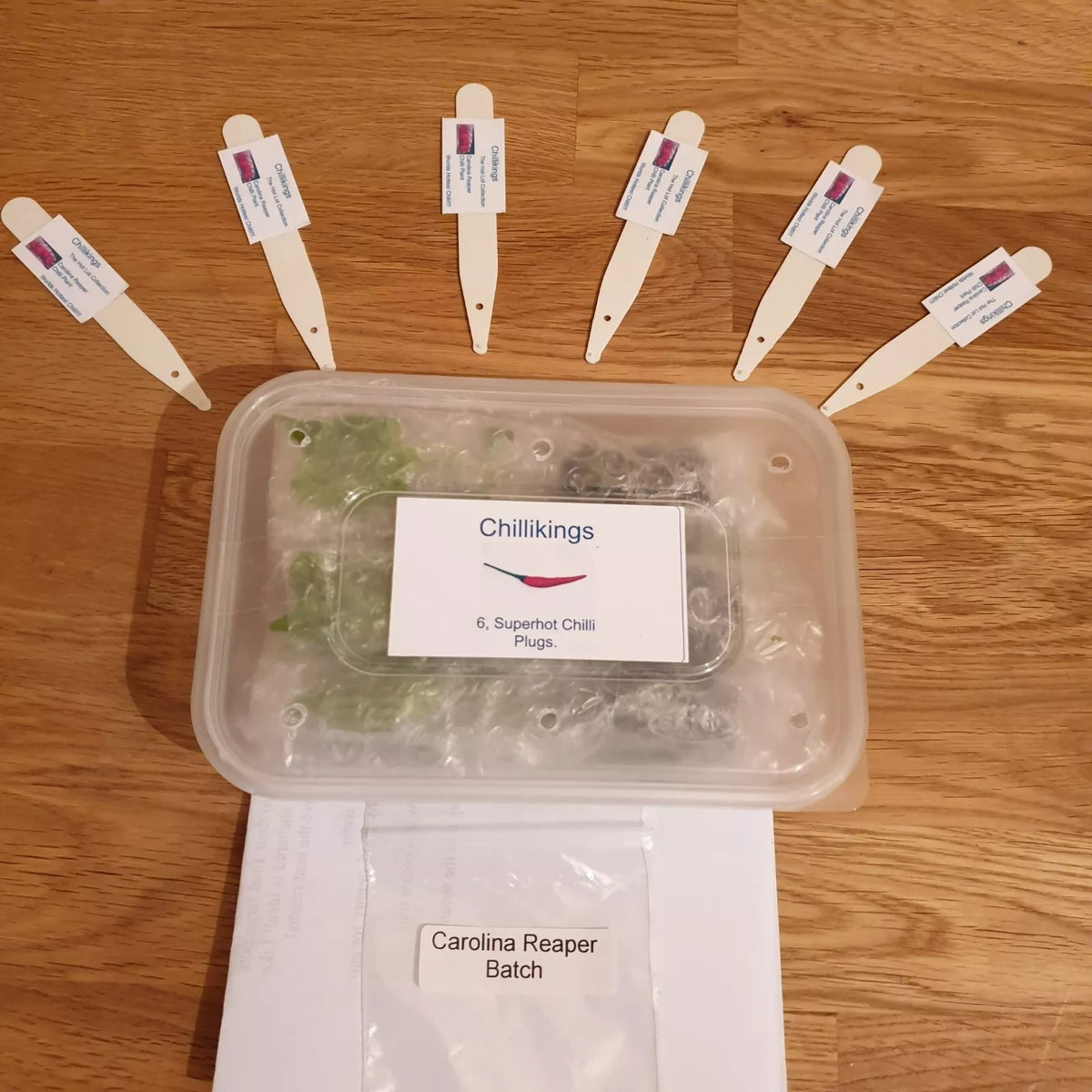6x Carolina Reaper Chilli Plug Plants!!! Chillikings!!! World's Hottes