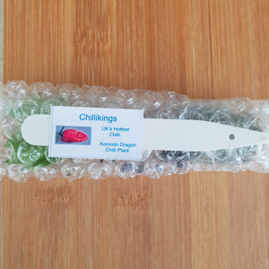 Superhot, Chilli Plug Plants!!! 2025!!! Pick Your Own!!! Ready Now!!!