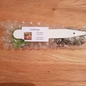 Superhot, Chilli Plug Plants!!! 2025!!! Pick Your Own!!! Ready Now!!!
