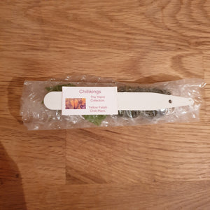 Superhot, Chilli Plug Plants!!! 2025!!! Pick Your Own!!! Ready Now!!!