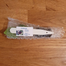 Load image into Gallery viewer, Superhot, Chilli Plug Plants!!! 2025!!! Pick Your Own!!! Ready Now!!!
