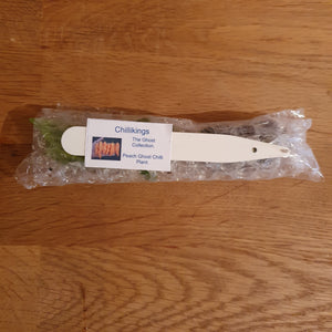 Superhot, Chilli Plug Plants!!! 2025!!! Pick Your Own!!! Ready Now!!!